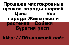 Продажа чистокровных щенков породы шарпей › Цена ­ 8 000 - Все города Животные и растения » Собаки   . Бурятия респ.